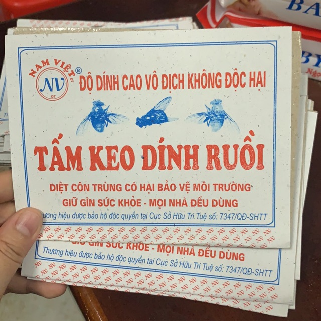 Combo 10 Tấm Keo Dính Ruồi Nam Việt Siêu Dính