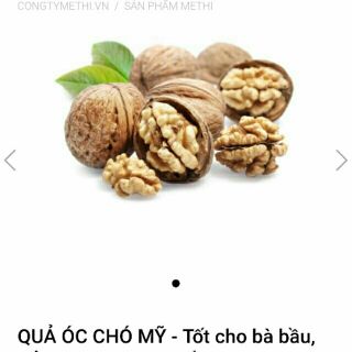 Óc chó