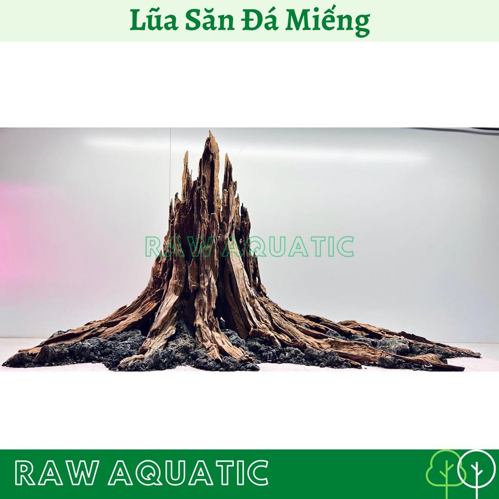 Lũa Săn Đá Miếng Trang Trí, Setup Bể Cá Cảnh, Bể Thủy Sinh