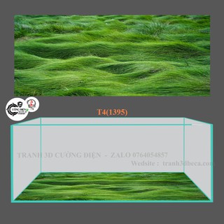 Tranh Decal 3D Dán đáy Bể Cá Cảnh, Bể Thủy Sinh Mẫu 4