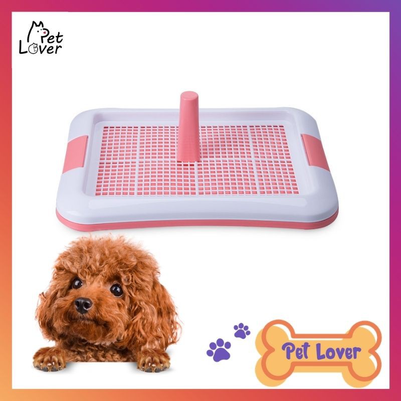 Khay vệ sinh cho chó 2 kích cỡ - Tặng 3 tấm lót vệ sinh