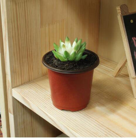 Set 20 Chậu Nhựa Trồng Cây Cho Gia Đình vnh2