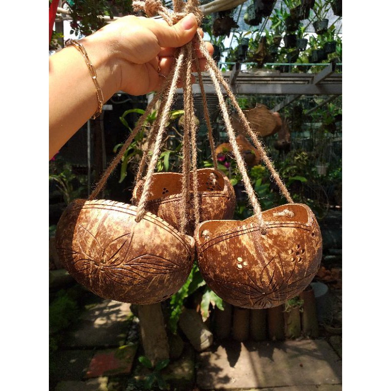 Chậu gáo dừa miệng 3 cánh sơn bóng kèm dây bố