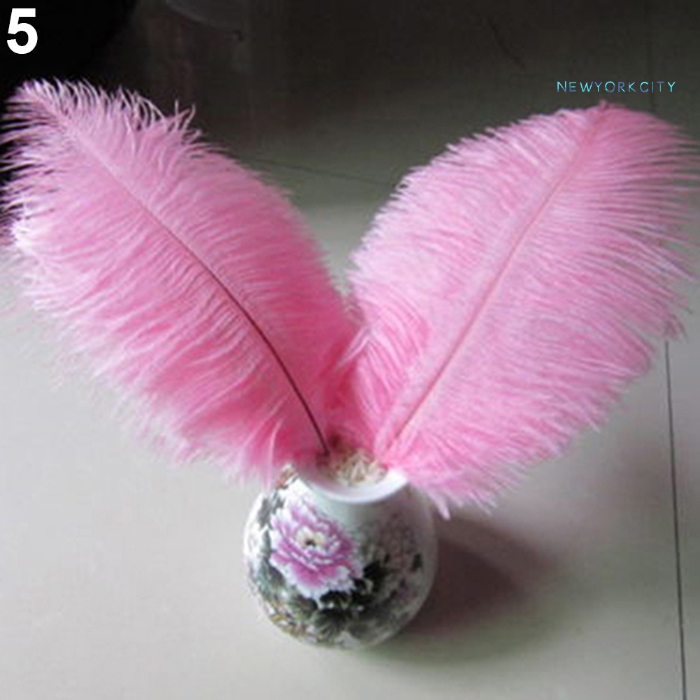 15 Lông Đà Điểu Tự Nhiên Mềm Mại Nhiều Màu Sắc Dùng Trang Trí Tiệc Cưới