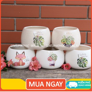 Chậu trồng cây - Chậu cây hạt dẻ size to, trồng sen đá, xương rồng để bàn gốm sứ Phát Phúc