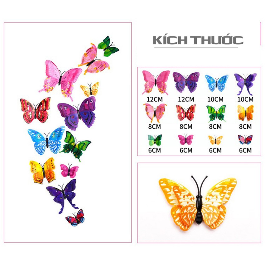 BƯỚM 3D TRANG TRÍ