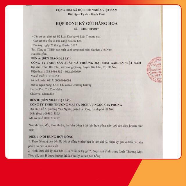 Son rose phiên bản 2019 | BigBuy360 - bigbuy360.vn