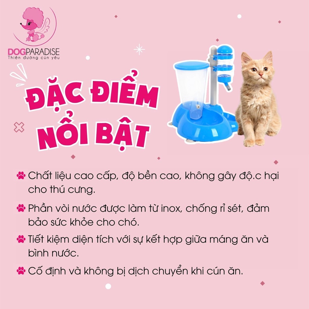 Bộ bình nước tự động và hộp đựng thức ăn Pian Pian đa năng tiện lợi cho mèo 4 màu - Dog Paradise