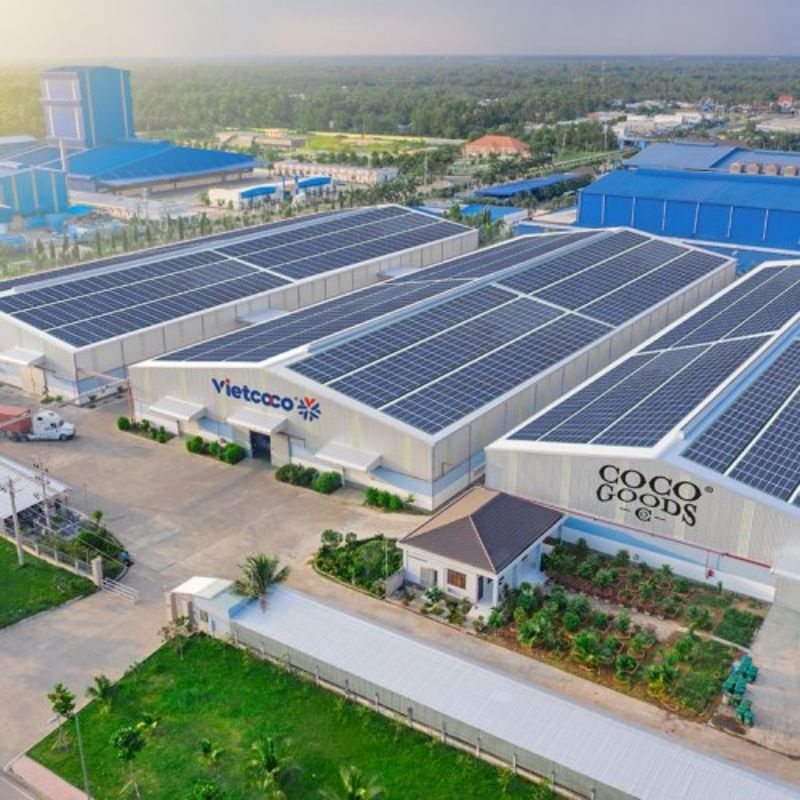 Nước súc miệng từ tinh chất dầu dừa và bạc hà Vietcoco