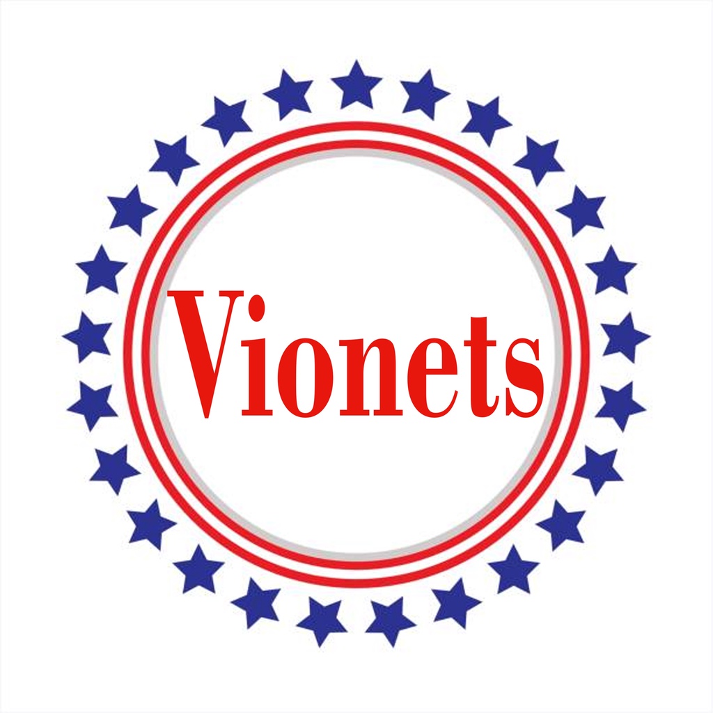 Vionets store