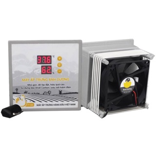 Máy ấp trứng p100