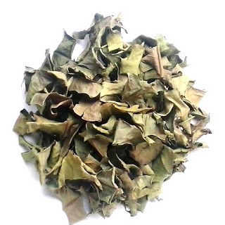 Lá vối khô 100gr