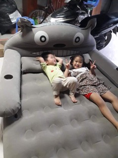 Giường hơi hình thú 1 tầng