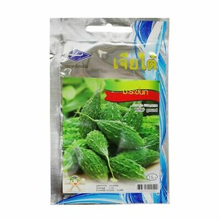 Hạt Giống Khổ Qua Rừng Thái Lan