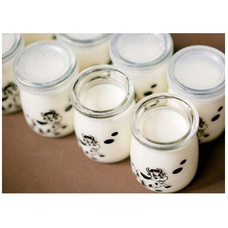 Hũ thủy tinh làm sữa chua, Hũ làm sữa chua bằng thủy tinh có nắp kèm hoạt tiết | BigBuy360 - bigbuy360.vn