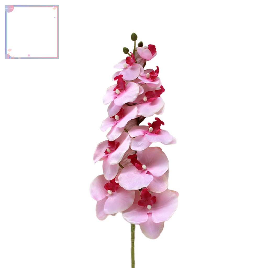 Chậu Hoa Lan Giả Trang Trí Nội Thất