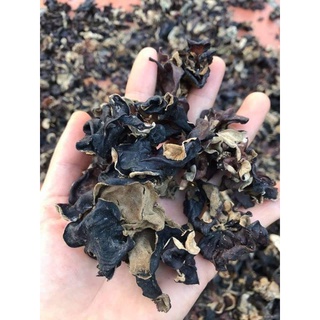 Mộc nhĩ rừng (nấm Tai Mèo)