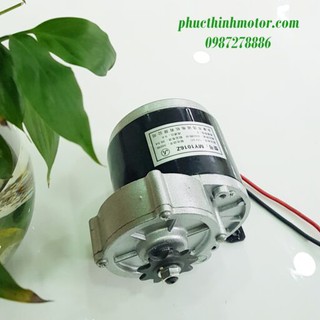 Động cơ Motor 24v250w chổi than