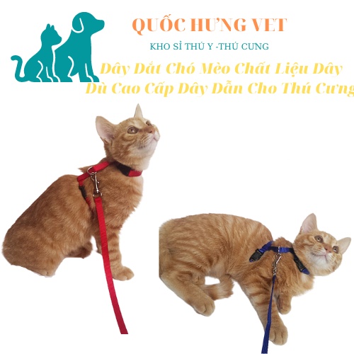 Dây Dắt Chó Mèo Chất Liệu Dây Dù Cao Cấp Dây Dẫn Cho Thú Cưng Dưới 4kg-DÂY DẮT YẾM ĐƠN SẮC KAZEN 3905 QUỐC HƯNG VET