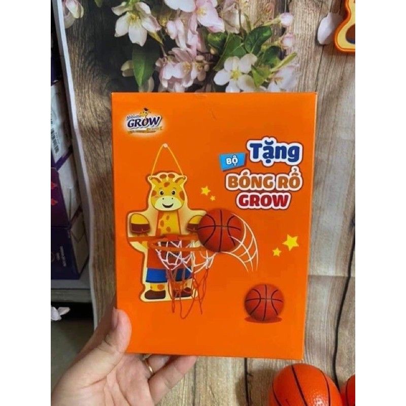 Bộ bóng rổ HKM Grow