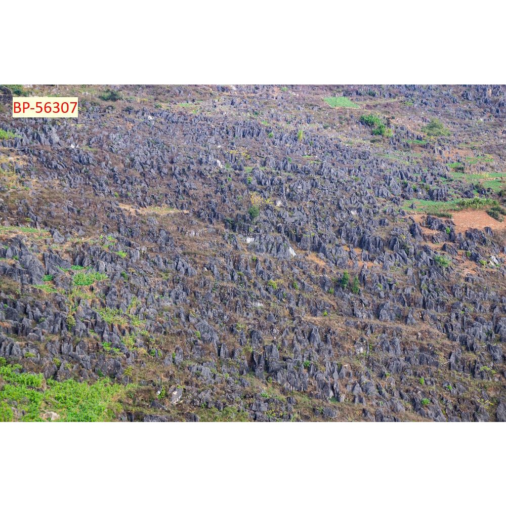 Tranh dán tường Vịnh Hạ Long, vùng biển, thuyền Việt Nam 3D CAM KẾT 100% VẢI LỤA 3D Tranh in lỗi đổi trả miễn phí.