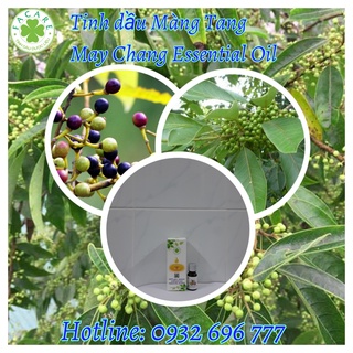 TINH DẦU MÀNG TANG 100ml