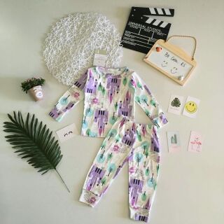 Combo 6 bộ Bozip xuất