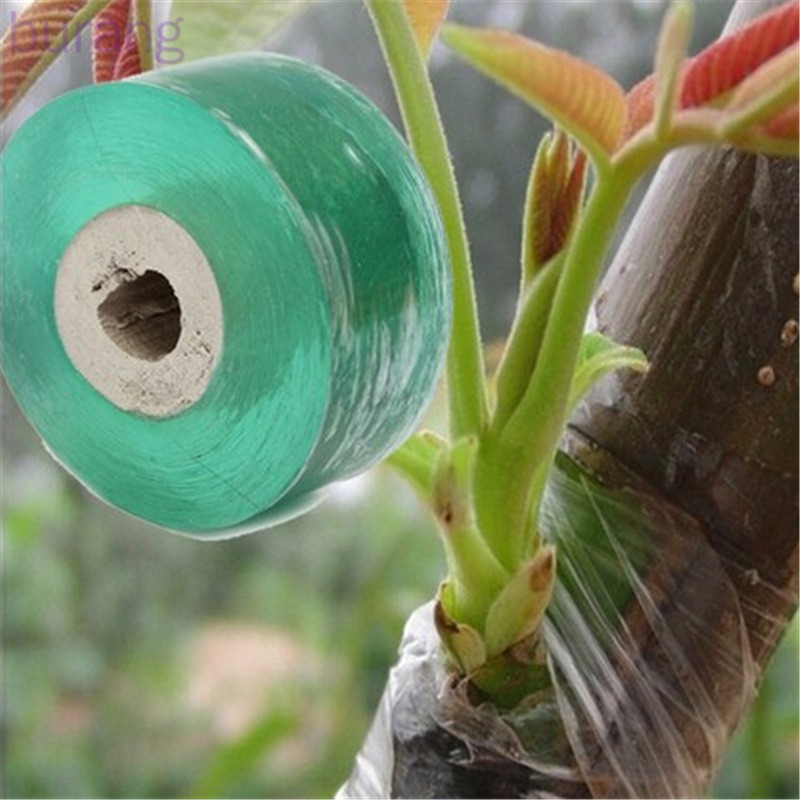 Cuộn Băng Keo Ghép Cành Có Thể Kéo Dãn