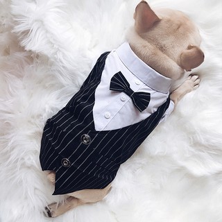 Áo vest cho chó lớn - Ảnh thật ở cuối