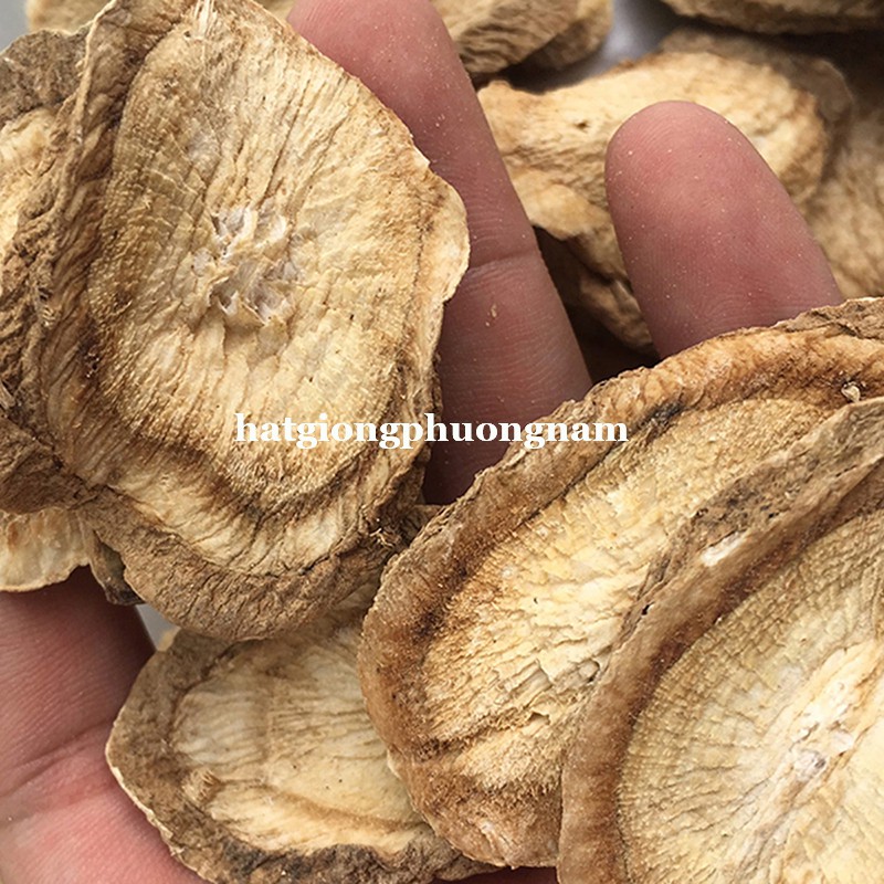 10H - HẠT GIỐNG DƯỢC LIỆU NGƯU BÀNG