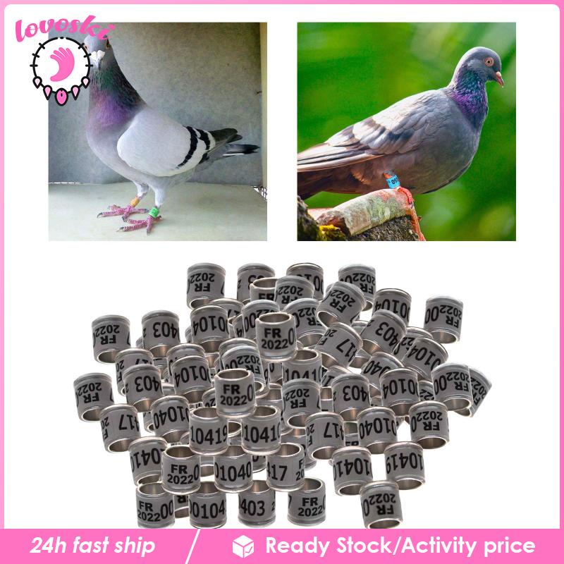 100 Vòng Chân Chim Bồ Câu 8mm Màu Trắng Bằng Nhôm 2022