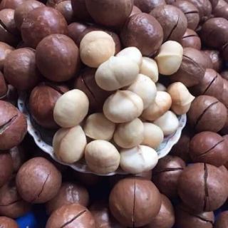 MACCA Tây Nguyên