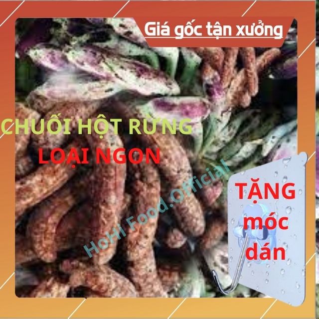 [ Loại Ngon ] Chuối Hột Rừng, Nguyên Quả Phơi Khô