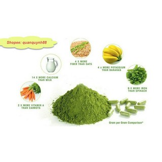 200gr Bột Chùm Ngây Nguyên Chất 100%