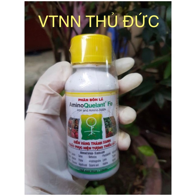 Phân bón lá bổ sung sắt Amino Fe chai 100ml