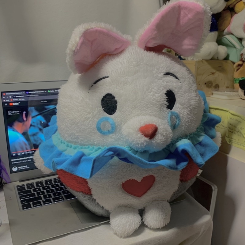 Gấu thỏ alice