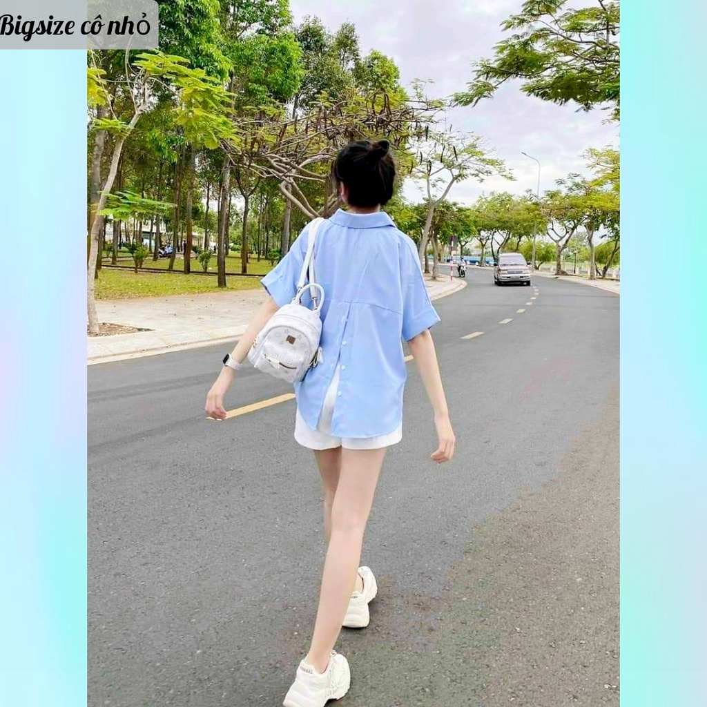 Áo sơ mi bigsize nữ tay ngắn kiểu xẻ lưng có cúc, Áo kiểu bigsize nữ AT10