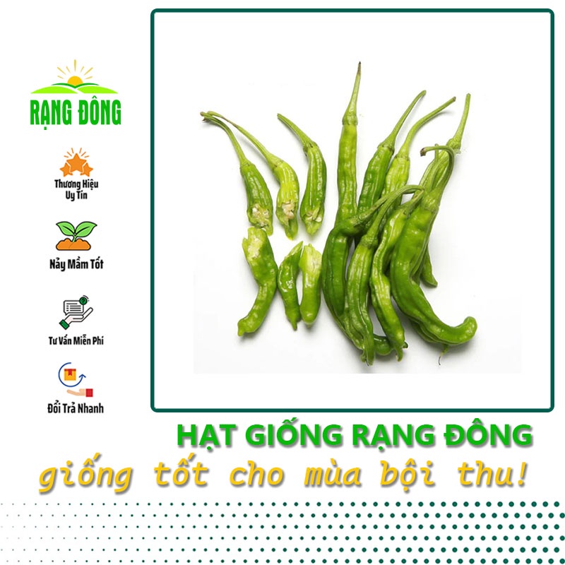 Hạt giống Ớt ngọt trái dài dễ chăm sóc, trồng quanh năm (gói 0,5 gr) - Hạt giống Rạng Đông
