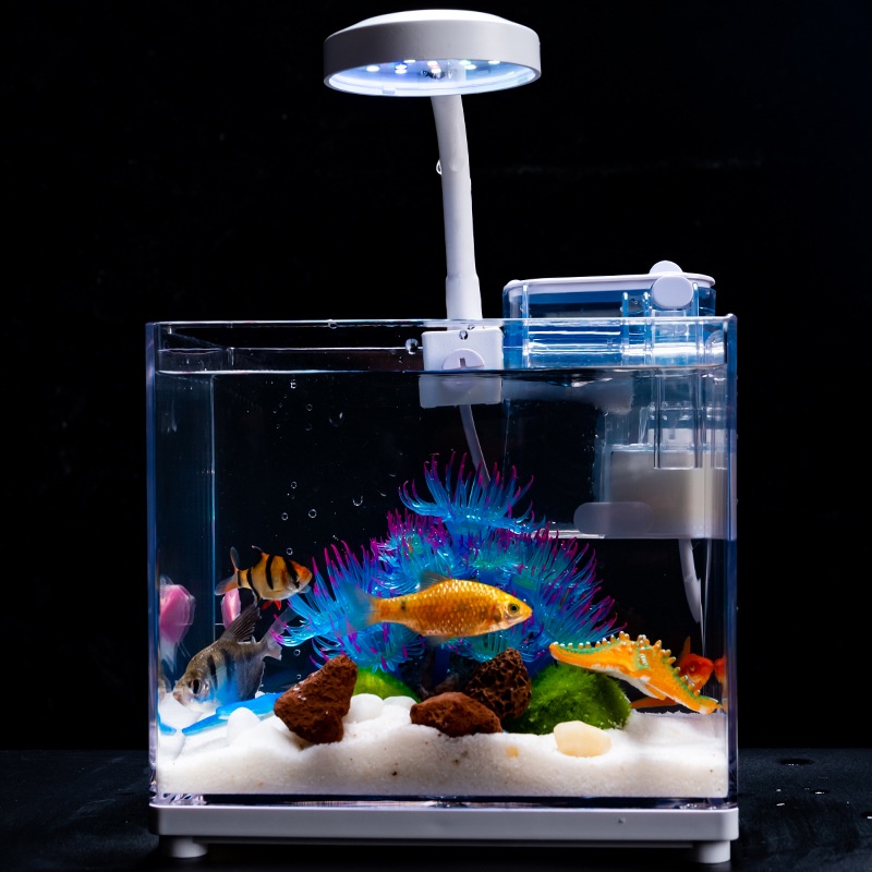 San Hô Silicone Màu Huỳnh Quang Trong Suốt Trang Trí Bể Cá