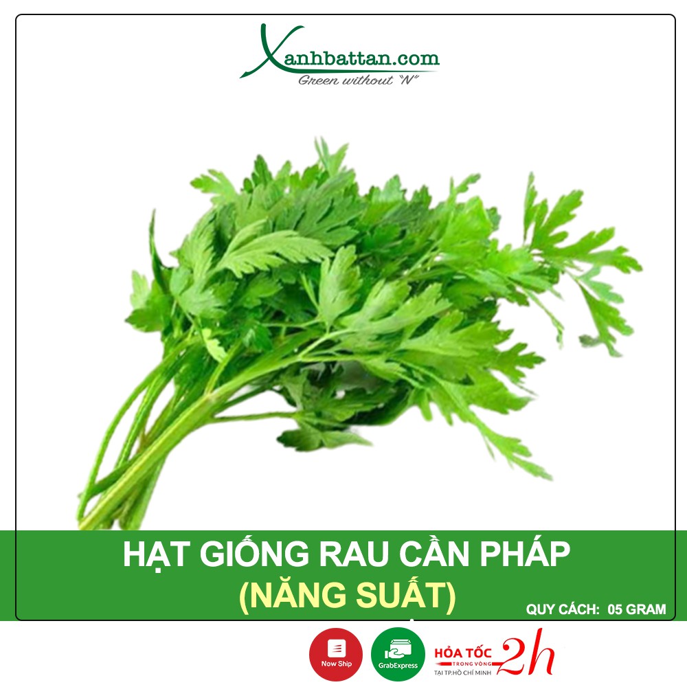 Hạt Giống Cần Cọng Xanh Gói 5 Gram