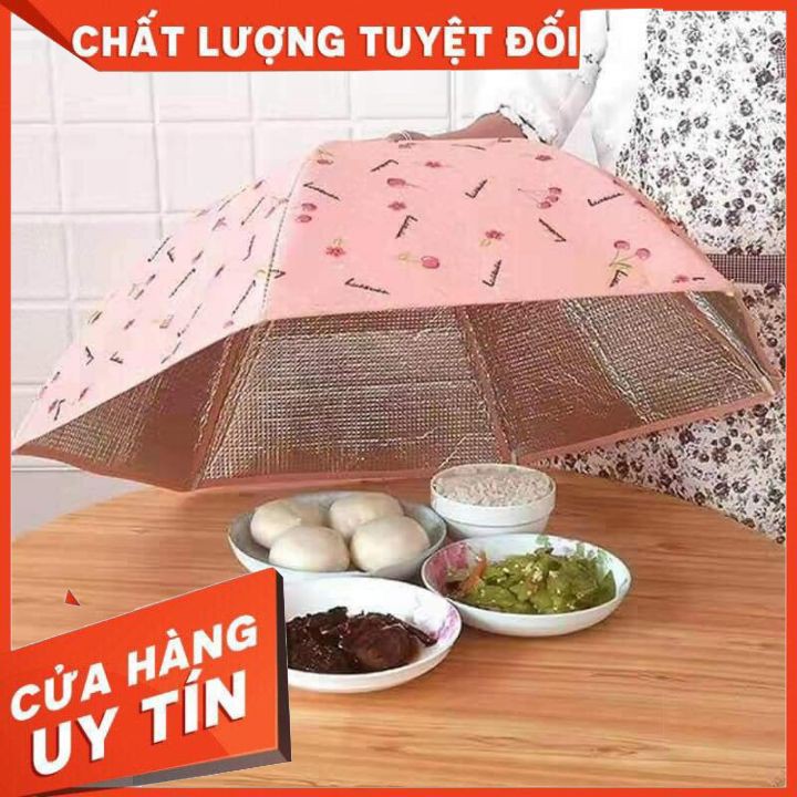 Lồng bàn giữ nhiệt gấp gọn cỡ lớn 6 cạnh có khung chống bụi và côn trùng bền đẹp [LOẠI TO ĐẸP]