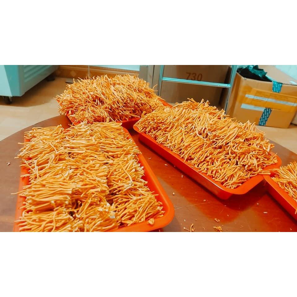 [Mã 267FMCGSALE giảm 8% đơn 500K] [10g] Nấm Đông trùng hạ thảo "Cordyceps" Sấy thăng hoa (Theo Đề án cấp nhà nước) | BigBuy360 - bigbuy360.vn