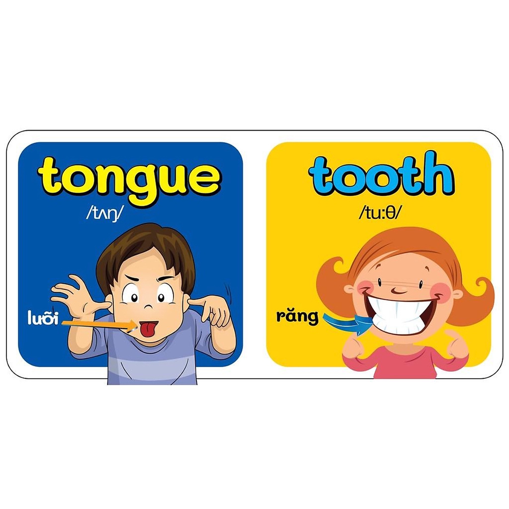 Sách - Baby'S First Picture Dictionary - Từ Điển Bằng Hình Đầu Tiên Của Bé - My Body - Cơ Thể (Bìa Cứng