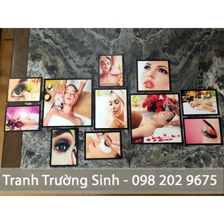 Bộ 11 tranh spa nối mi
