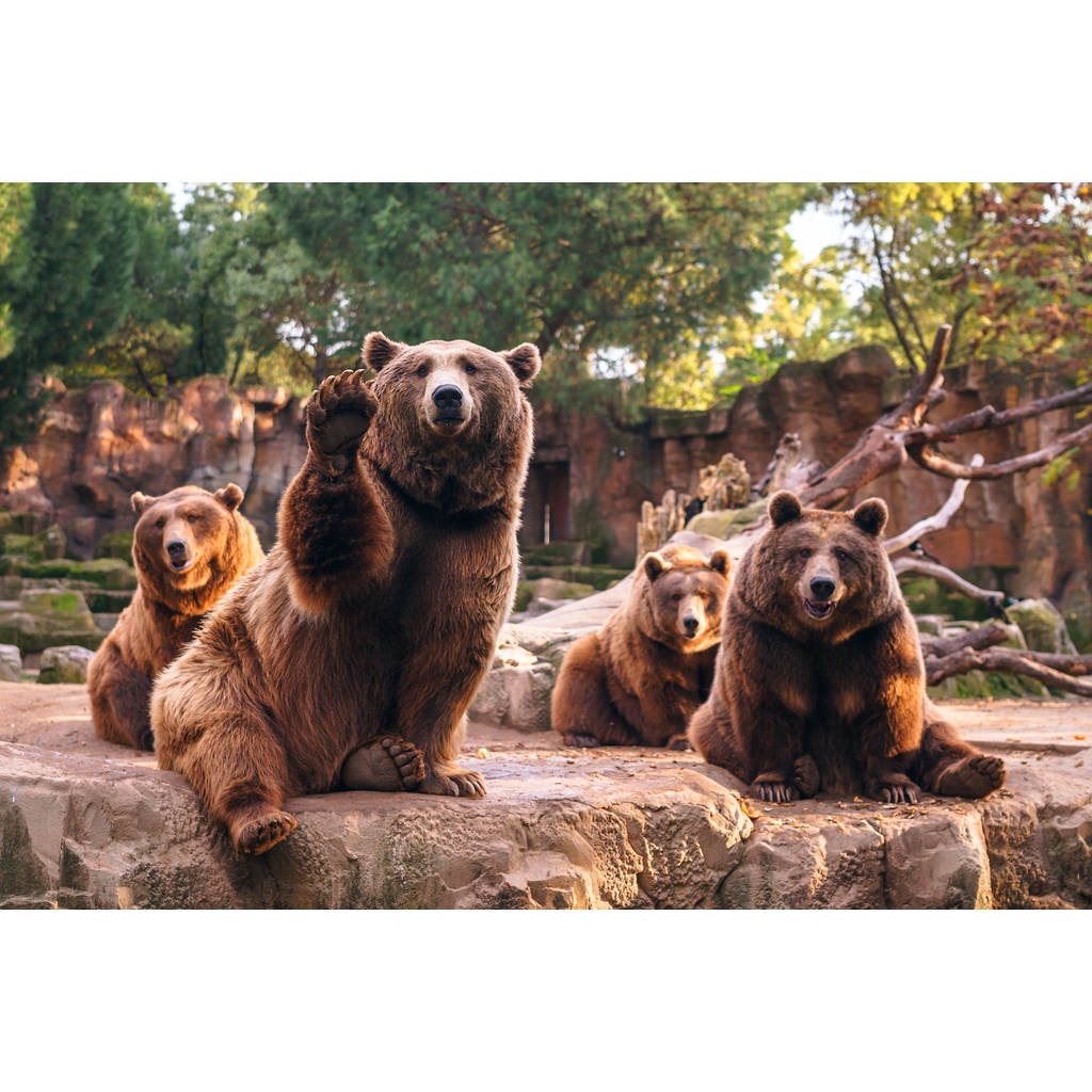 Ống kính máy ảnh Rokinon/Samyang 35mm f1.4 MF Canon  - 10673