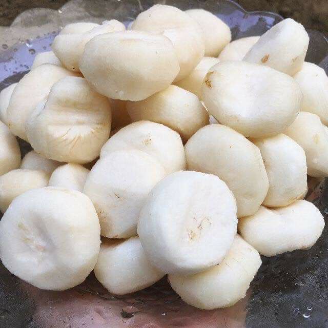 [Mã 267FMCGSALE giảm 8% đơn 500K] Củ mã thầy tươi 1kg ( củ năng) | BigBuy360 - bigbuy360.vn