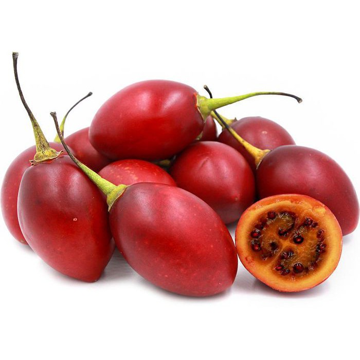 Sỉ cà chua thân gỗ Tamarillo Đà Lạt, mua từ 3kg