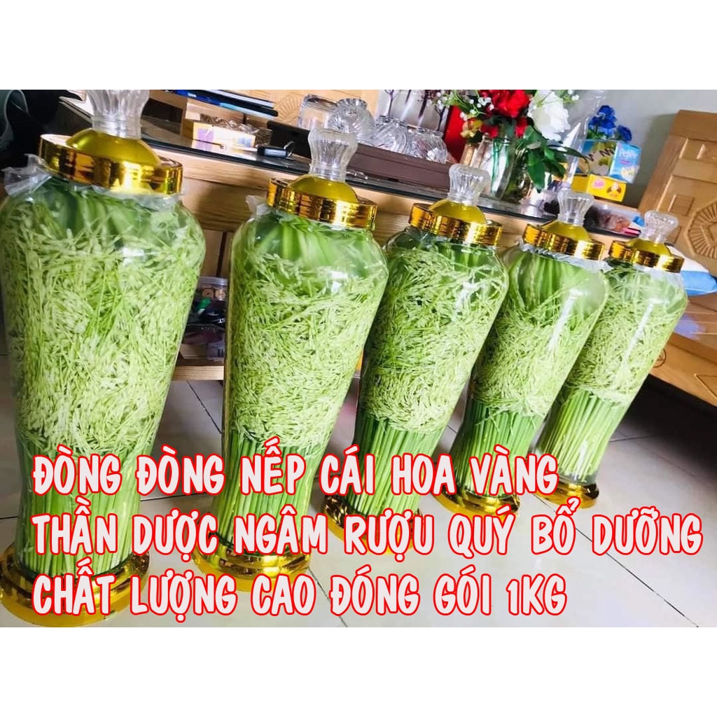 ĐÒNG ĐÒNG LÚA NẾP CÁI HOA VÀNG VÙNG TRUNG DU TÂY BẮC  ĐÓNG GÓI 1KG