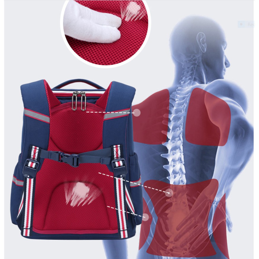 Ba lô học sinh cấp 1&2 siêu nhẹ chống gù chống nước cao cấp phong cách châu âu