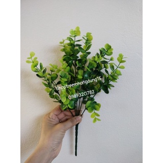 Cành lá ngâu giả trang trí , decor siêu đẹp
